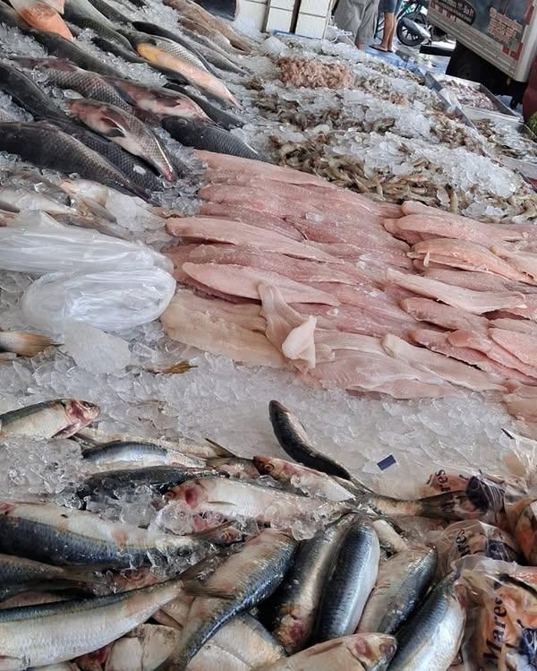 Vigilância Sanitária de Guarujá notifica 25 peixarias em Operação Semana Santa