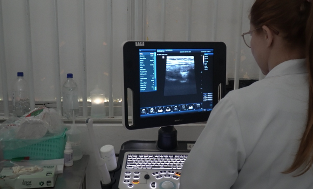 Guarujá deve realizar 180 atendimentos em novo mutirão de saúde neste sábado (12)