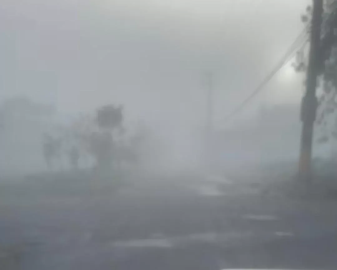 Forte neblina interrompe navegação no Porto de Santos e travessias litorâneas