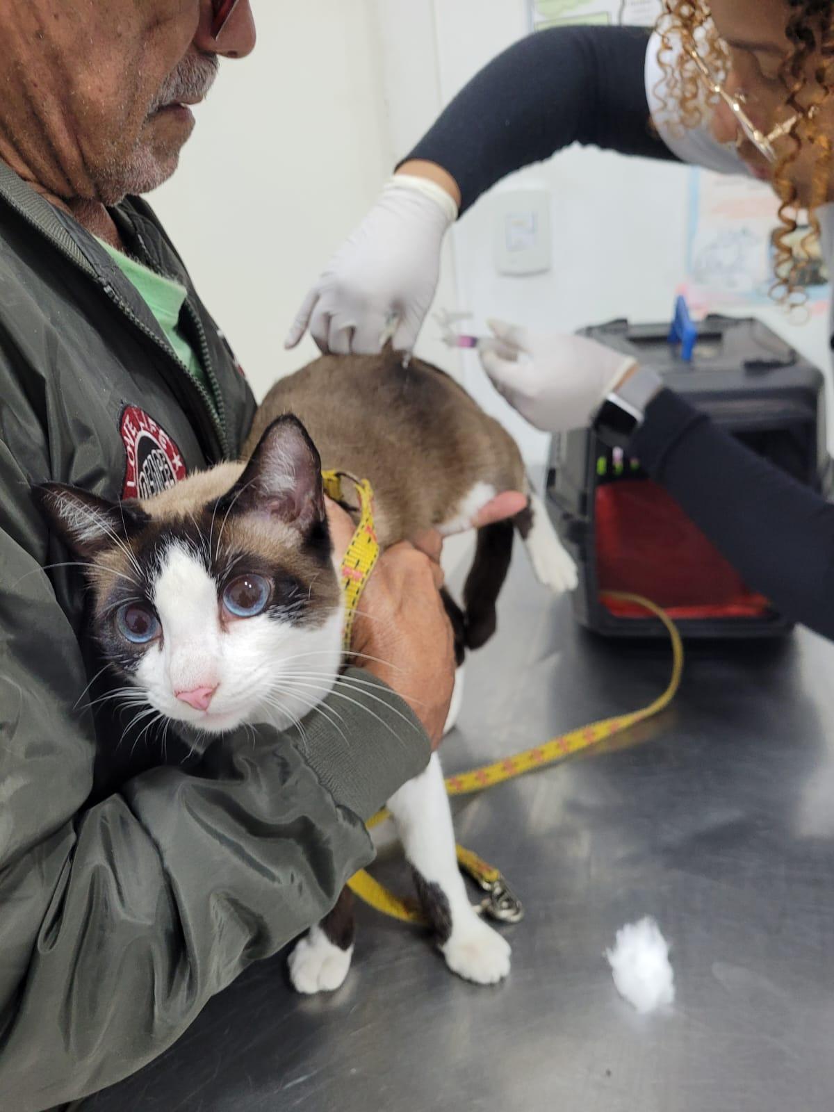 Prefeitura de Guarujá realiza semana de conscientização e combate à leishmaniose