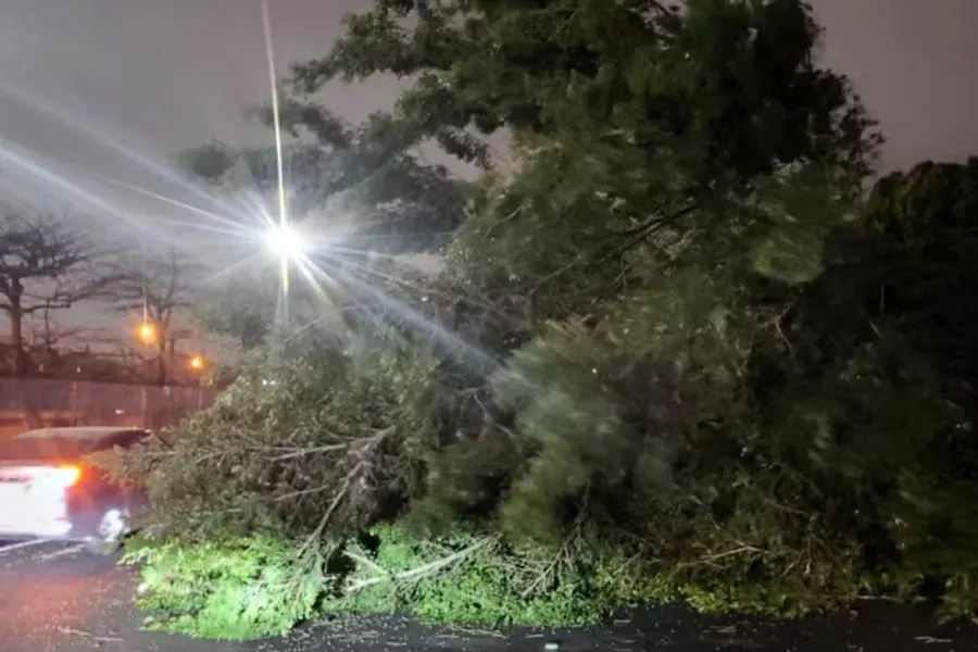 Rajadas de vento chegam a mais de 120 km/h e causam estragos; operações no Porto pararam