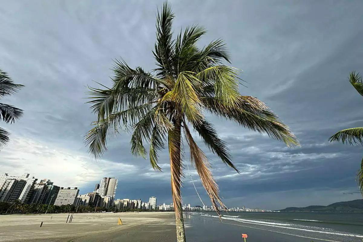 Rajadas de vento atingem o litoral de São Paulo e outras regiões do Brasil nos próximos dias