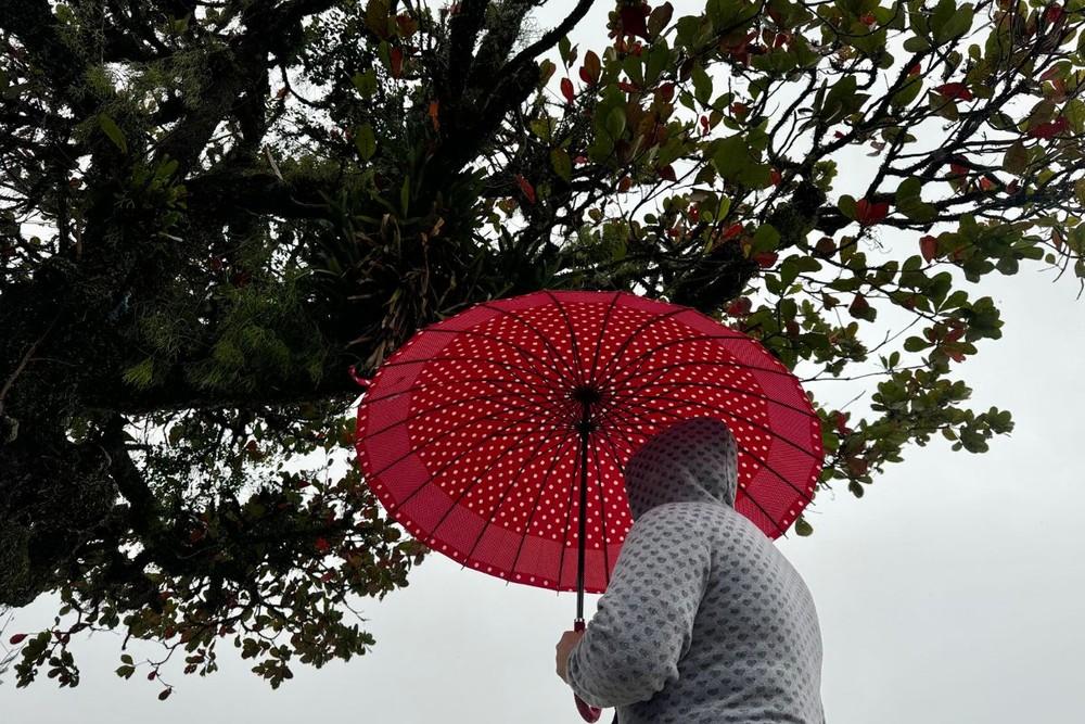 Alerta de temporal no litoral de SP: chuva intensa está prevista para atingir Baixada Santista nas próximas horas