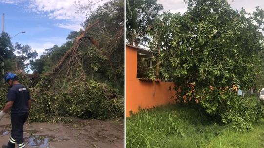 Ciclone extratropical provoca ventos de 99km/h e causa estragos no litoral de SP; VEJA