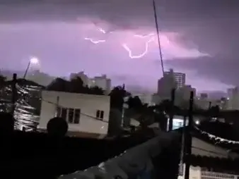 Ciclone Extratropical Provoca Ventos Fortes E Quedas De Árvores Na Baixada Santista