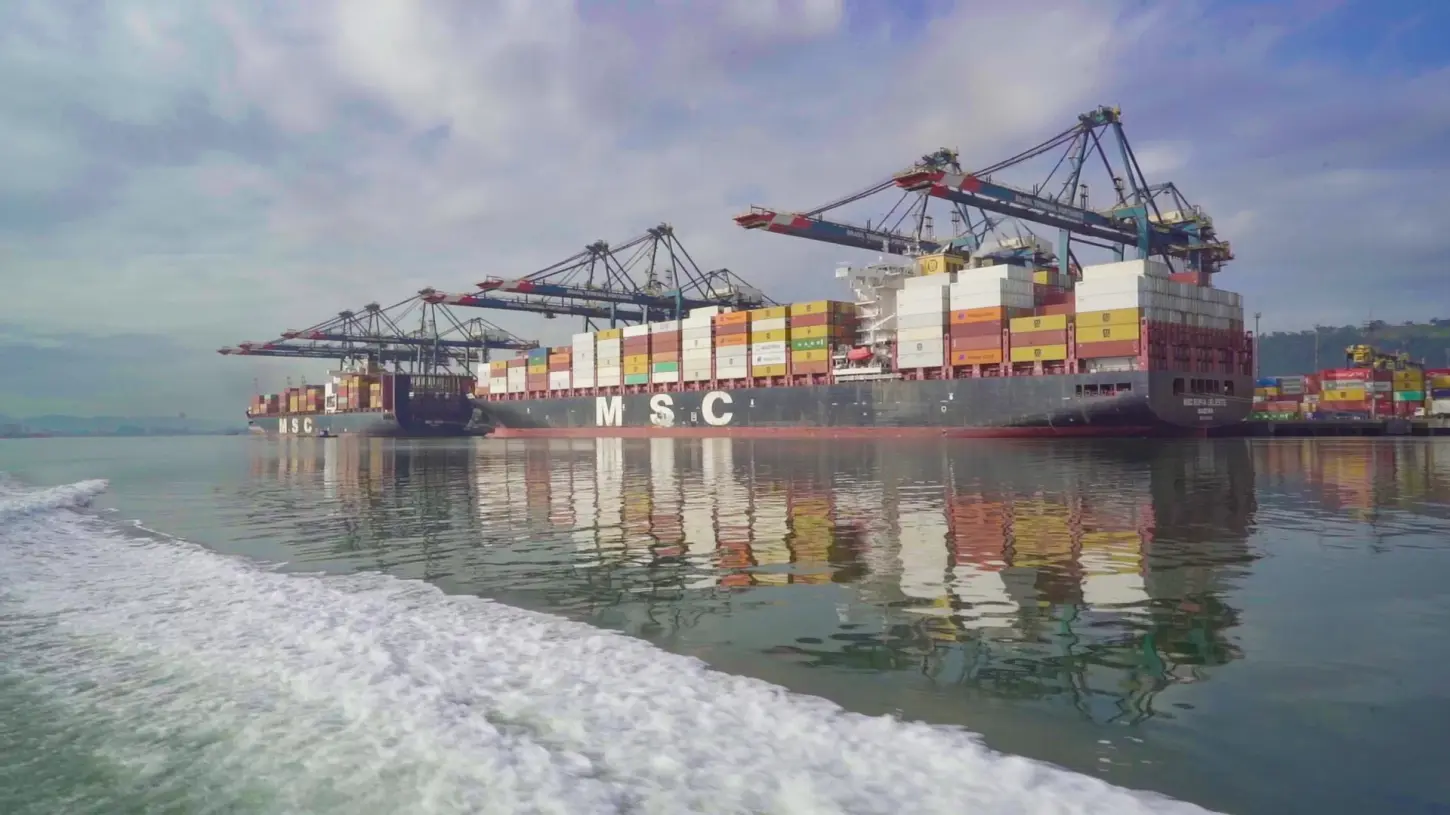 Porto de Santos cresce 11,6% em movimentação de contêineres e registra recorde histórico