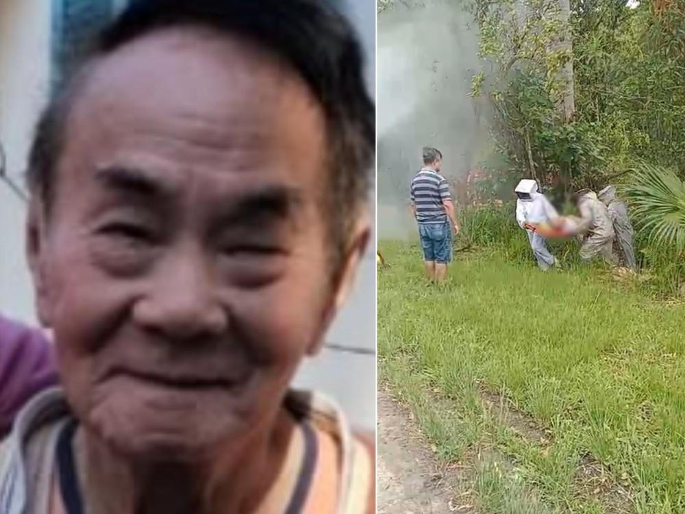 Idoso morre após ser atacado por enxame de abelhas no interior de SP