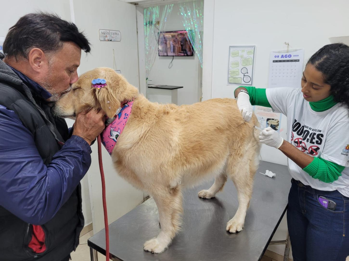 Guarujá aplica mais de 2.600 vacinas antirrábicas em cães e gatos em 2025 e supera 2024
