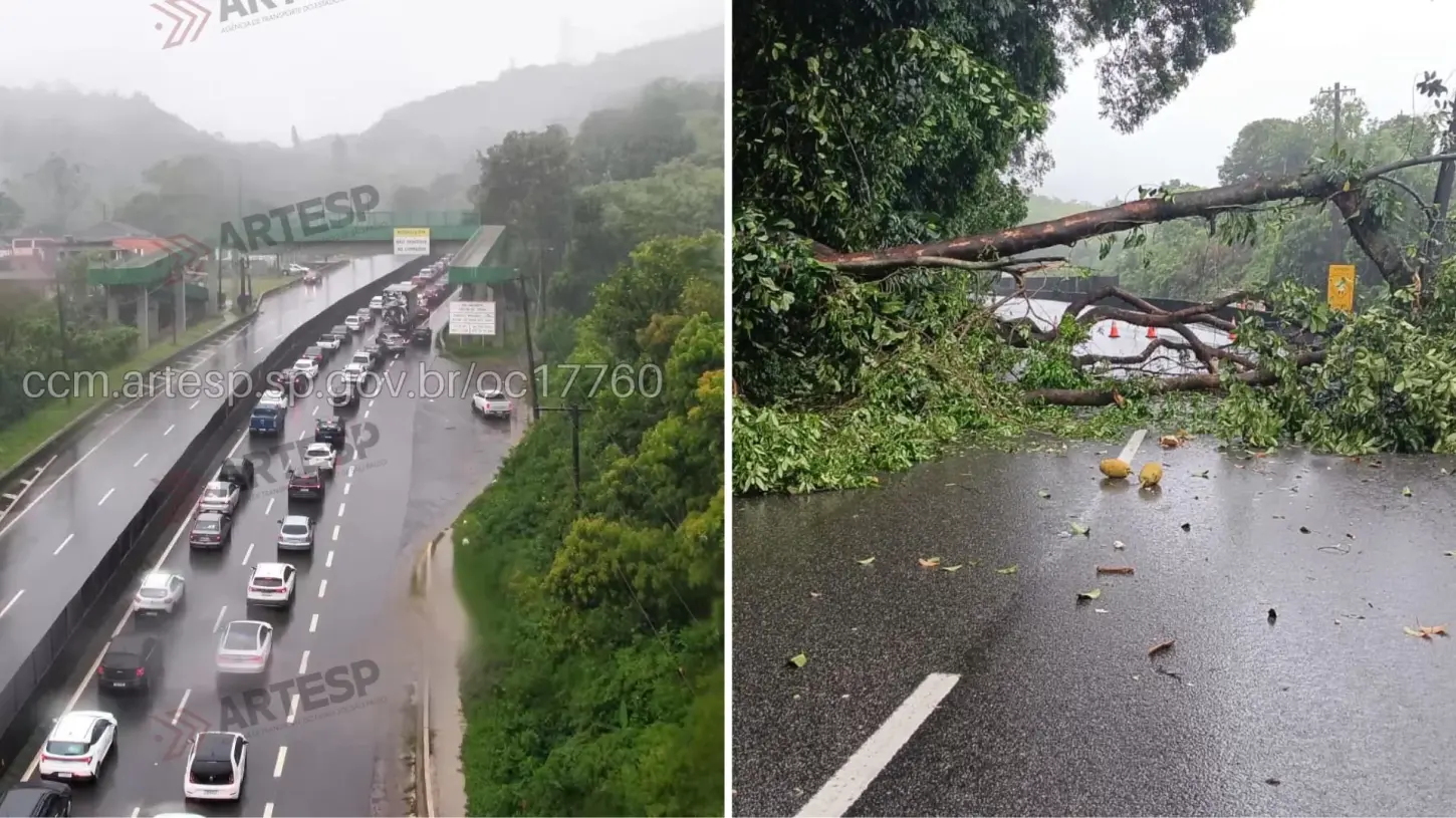 Queda de árvore interdita pistas rumo à Capital na Anchieta e complica trânsito no SAI
