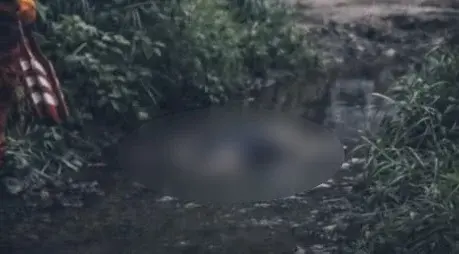 Corpo é encontrado em córrego de Guarujá