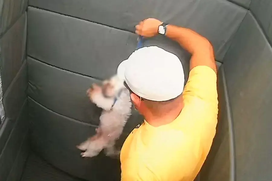 Justiça nega devolução de cachorro agredido por ex-GCM em Praia Grande